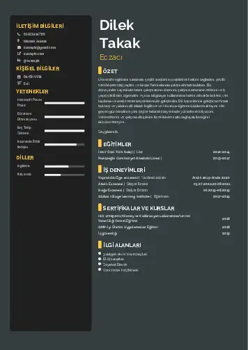 Eczacı CV Örnekleri cv indir